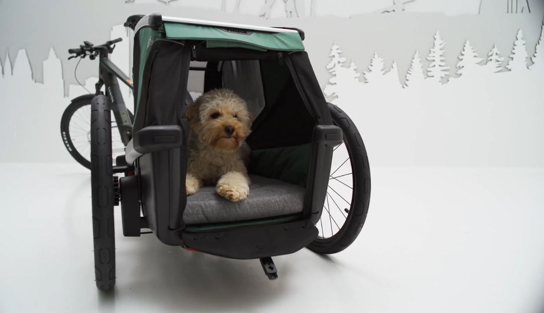How to Train Your Dog on the Thule Bexey Trailer