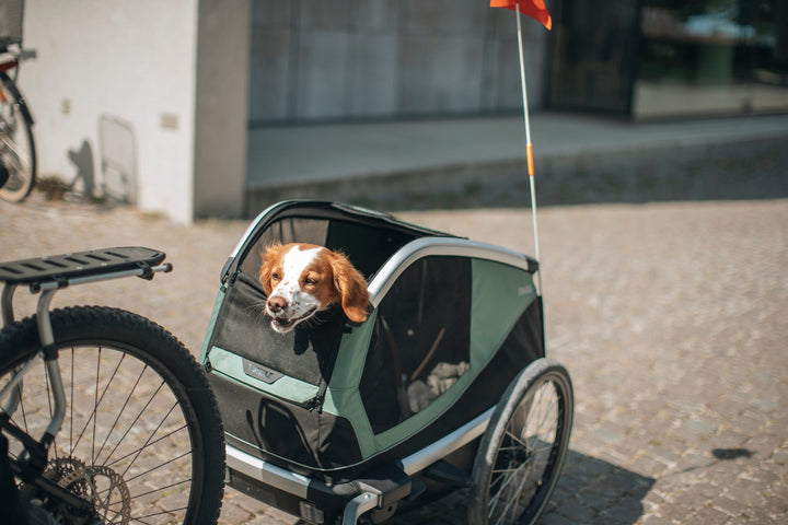 Thule Bexey Dog Bike Trailer