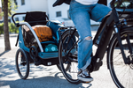 Thule Courier Bike Trailer